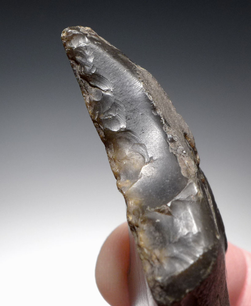 UNIQUE DOUBLE-TOOL NEOLITHIC FLINT BORER AWL FROM THE FUNNELBEAKER CULTURE OF DENMARK  *N223