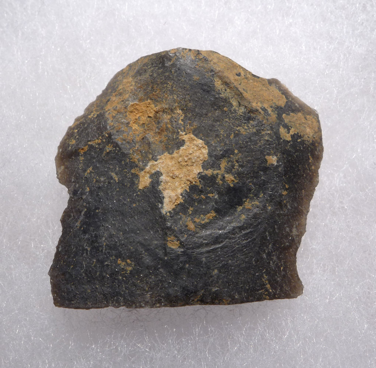 NEANDERTHAL FLINT MOUSTERIAN SIDE SCRAPER FLAKE TOOL FROM DORDOGNE FRANCE  *M464