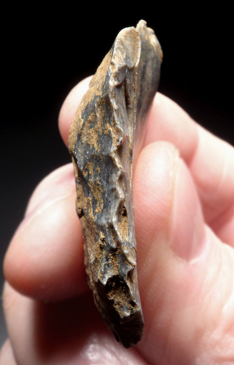 EXCEPTIONAL NEANDERTHAL FLINT MOUSTERIAN SIDE SCRAPER FLAKE TOOL FROM DORDOGNE FRANCE  *M459