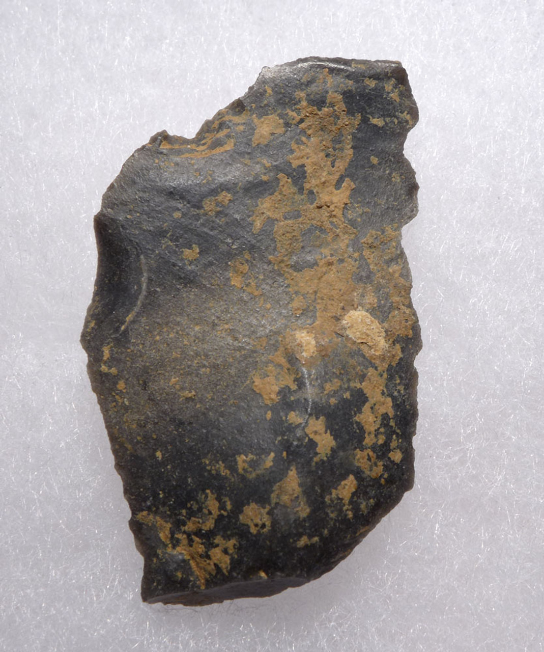 NEANDERTHAL FLINT SIDE SCRAPER MOUSTERIAN FLAKE TOOL FROM DORDOGNE FRANCE  *M468