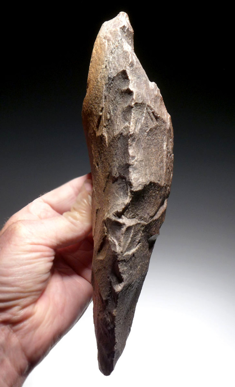 MASSIVE ARTISTIC ACHEULEAN HOMO ERGASTER HAND AXE OF AMYGDALOID TURTLEBACK DESIGN FROM WEST AFRICA  *ACH451