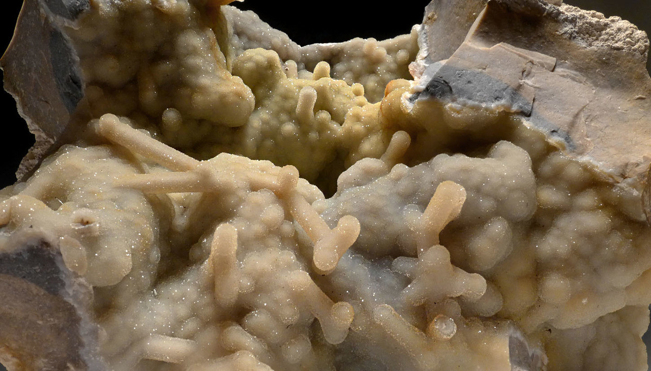 ULTRA-RARE BLUE AND GREEN SPARKLING DRUSY FOSSIL AGATIZED CORAL