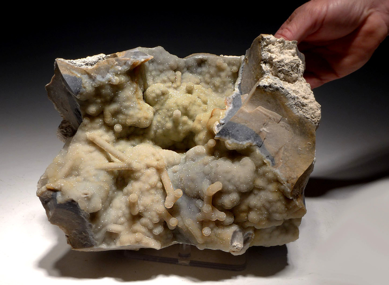 ULTRA-RARE BLUE AND GREEN SPARKLING DRUSY FOSSIL AGATIZED CORAL