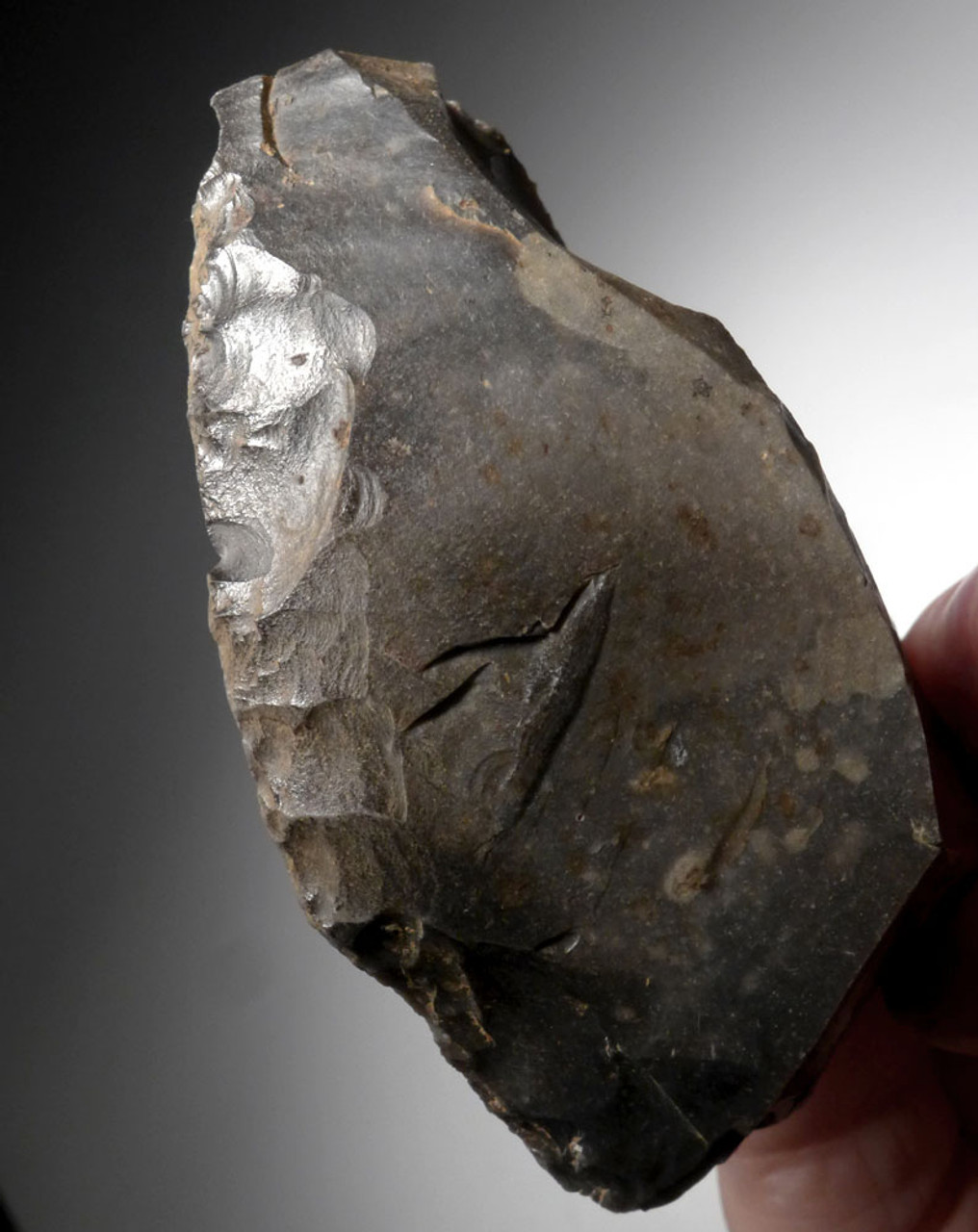 EXCEPTIONAL EUROPEAN NEOLITHIC MICHELSBERG CULTURE FLINT SCRAPER TOOL FROM THE NETHERLANDS  *N261