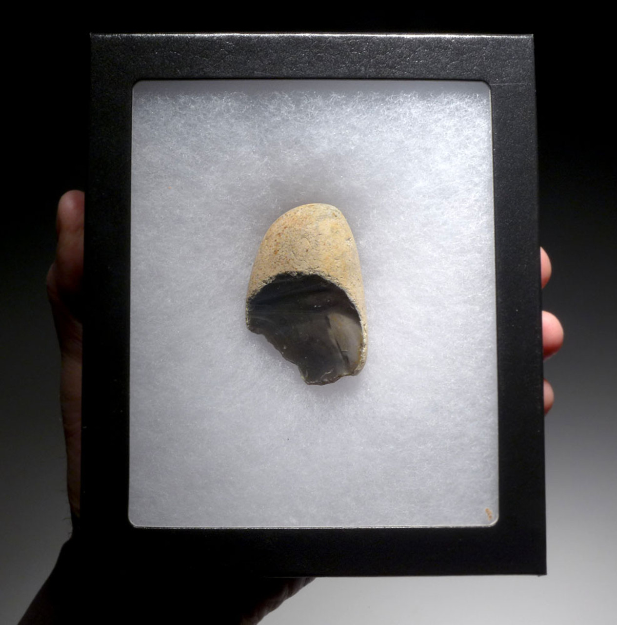 HOMO ANTECESSOR OLDOWAN PEBBLE SCRAPER FROM BRITAIN'S FAMOUS HAPPISBURGH FOOTPRINTS REGION  *PB186