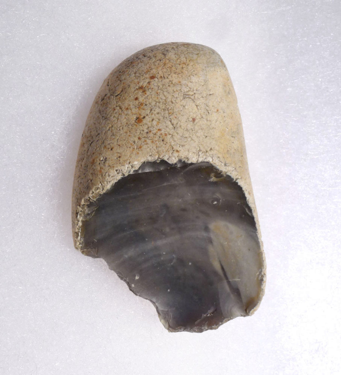 HOMO ANTECESSOR OLDOWAN PEBBLE SCRAPER FROM BRITAIN'S FAMOUS HAPPISBURGH FOOTPRINTS REGION  *PB186