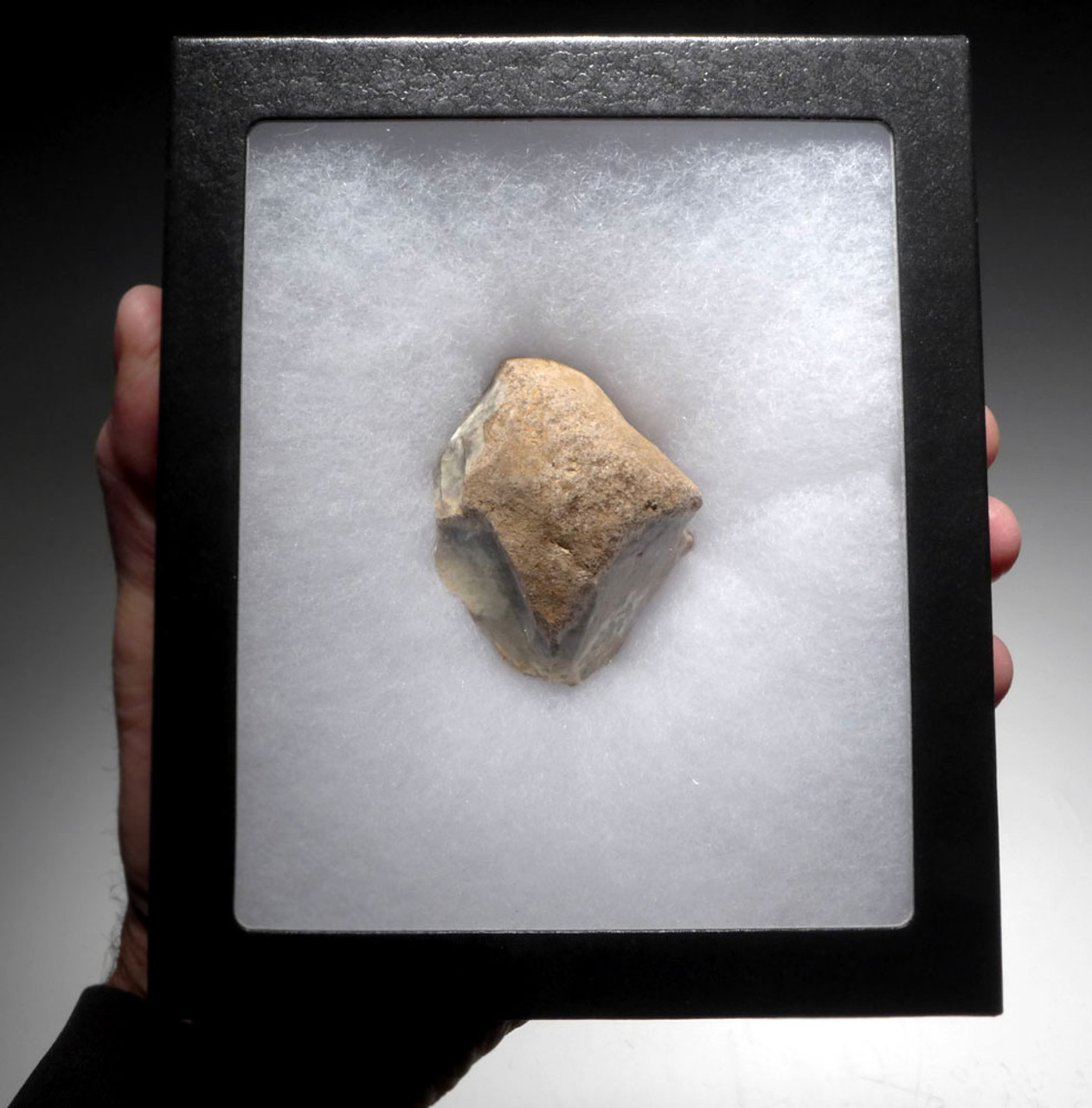 ROBUST NEANDERTHAL MOUSTERIAN SAW DENITICULATE FLINT TOOL FROM DORDOGNE FRANCE  *M475