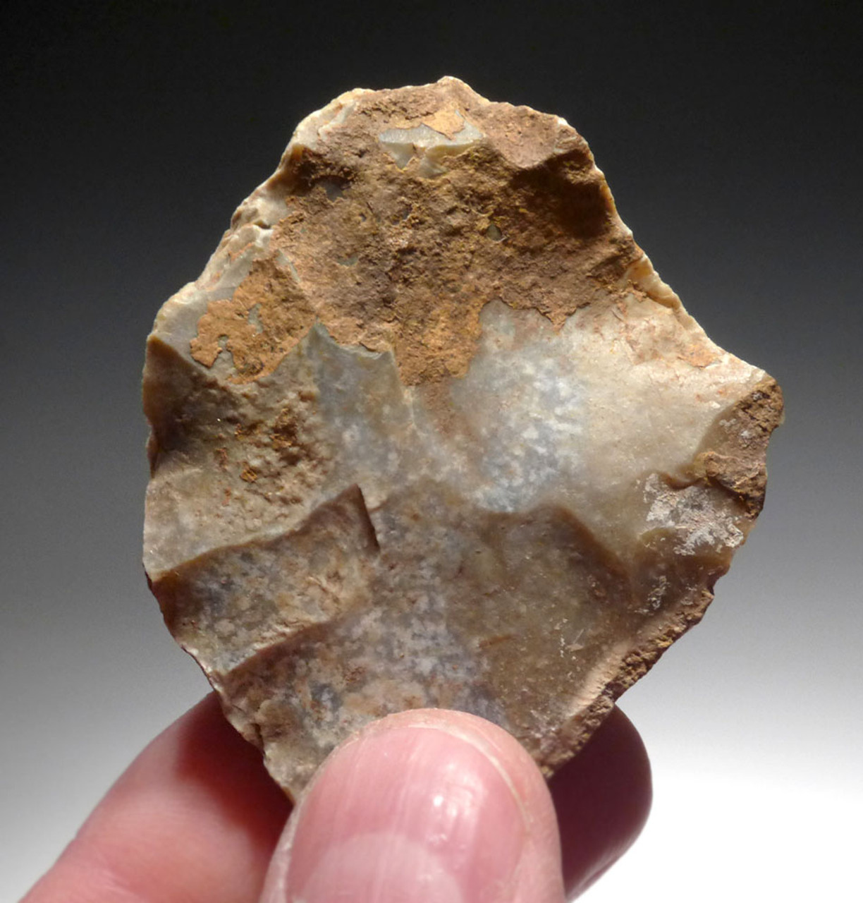 ROBUST NEANDERTHAL MOUSTERIAN SAW DENITICULATE FLINT TOOL FROM DORDOGNE FRANCE  *M475