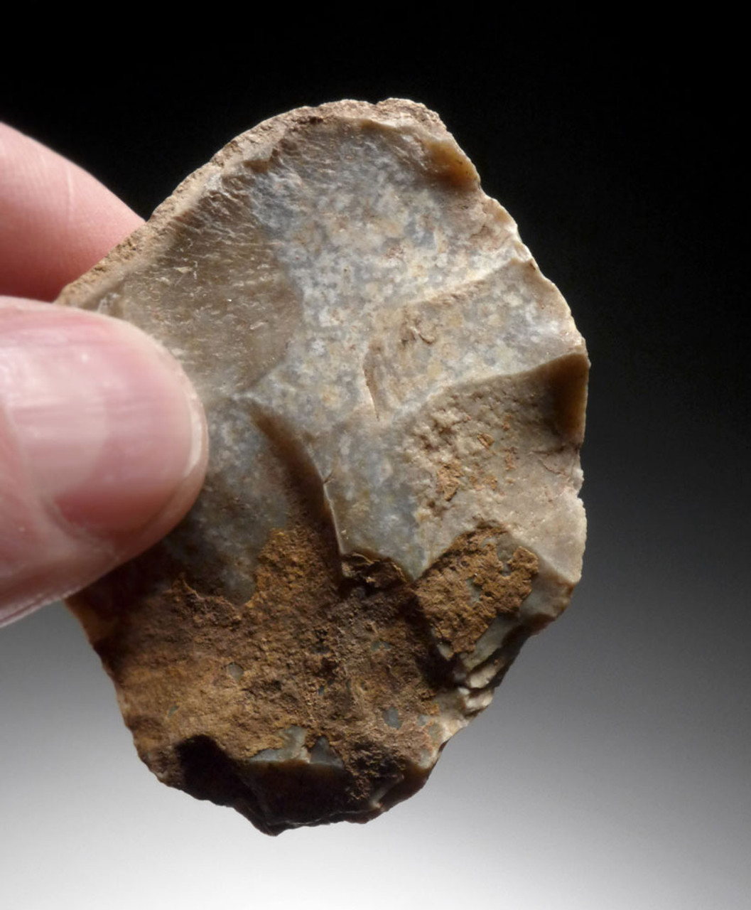 ROBUST NEANDERTHAL MOUSTERIAN SAW DENITICULATE FLINT TOOL FROM DORDOGNE FRANCE  *M475