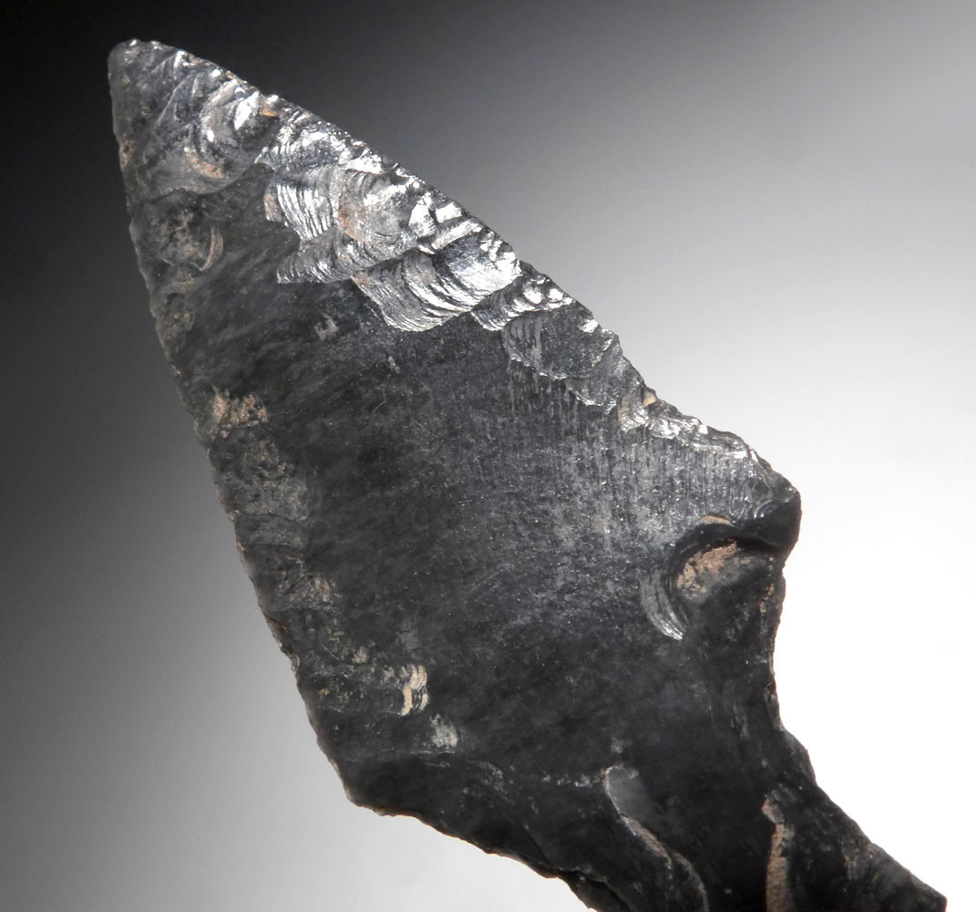  Guerrero – Archaic Days MLC s6139 Paleo To Archaic Lanceolate Arrowhead Kentucky Stone