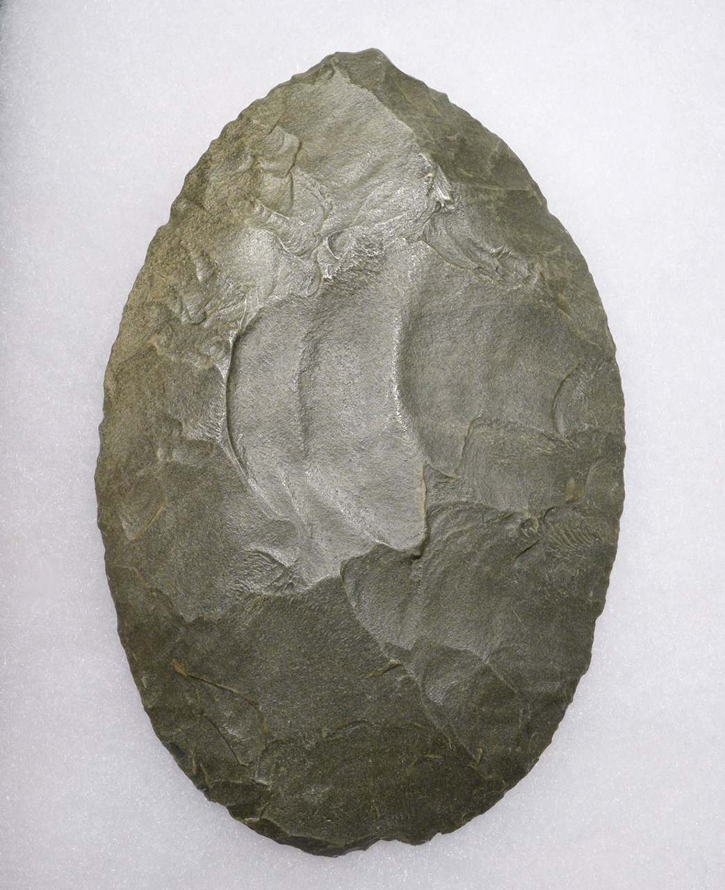 MUSEUM-CLASS LARGE BANDED GREEN JASPER PRESTIGE OVATE BIFACE FROM THE TENERIAN AFRICAN NEOLITHIC  *CAP391