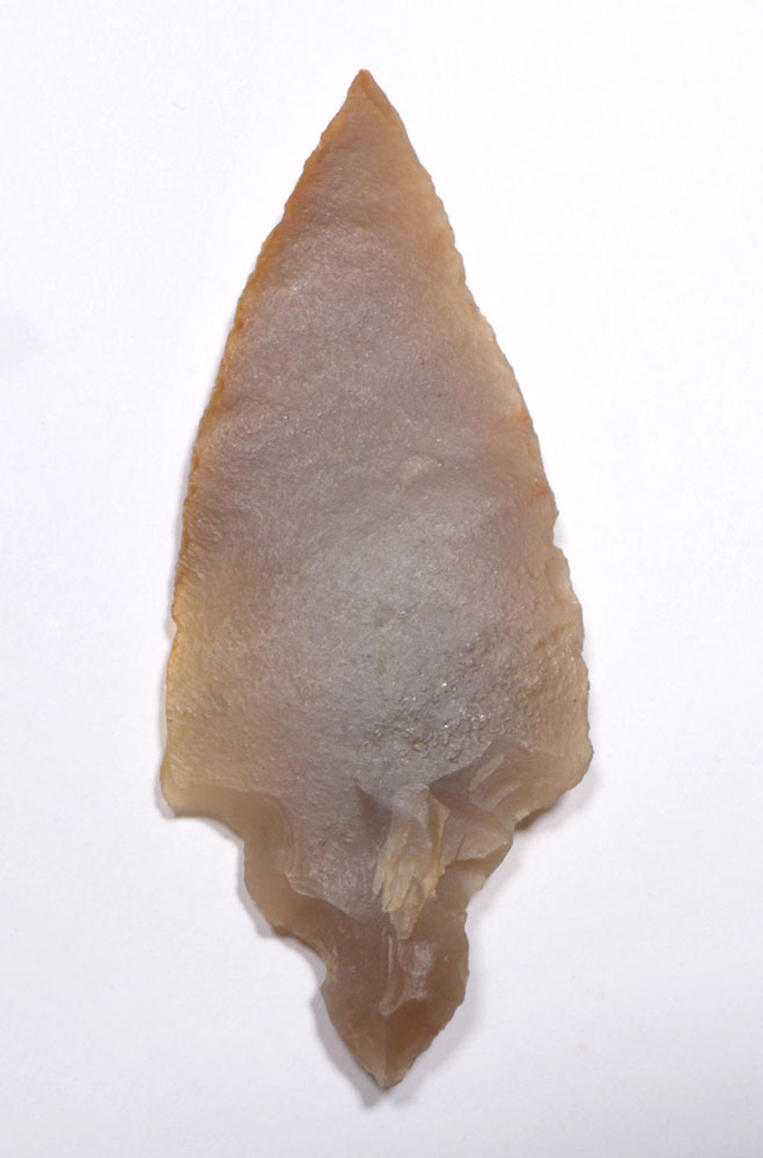 EXCEPTIONAL LARGE CAPSIAN AFRICAN NEOLITHIC UNIFACIAL ARROWHEAD  *CAP398