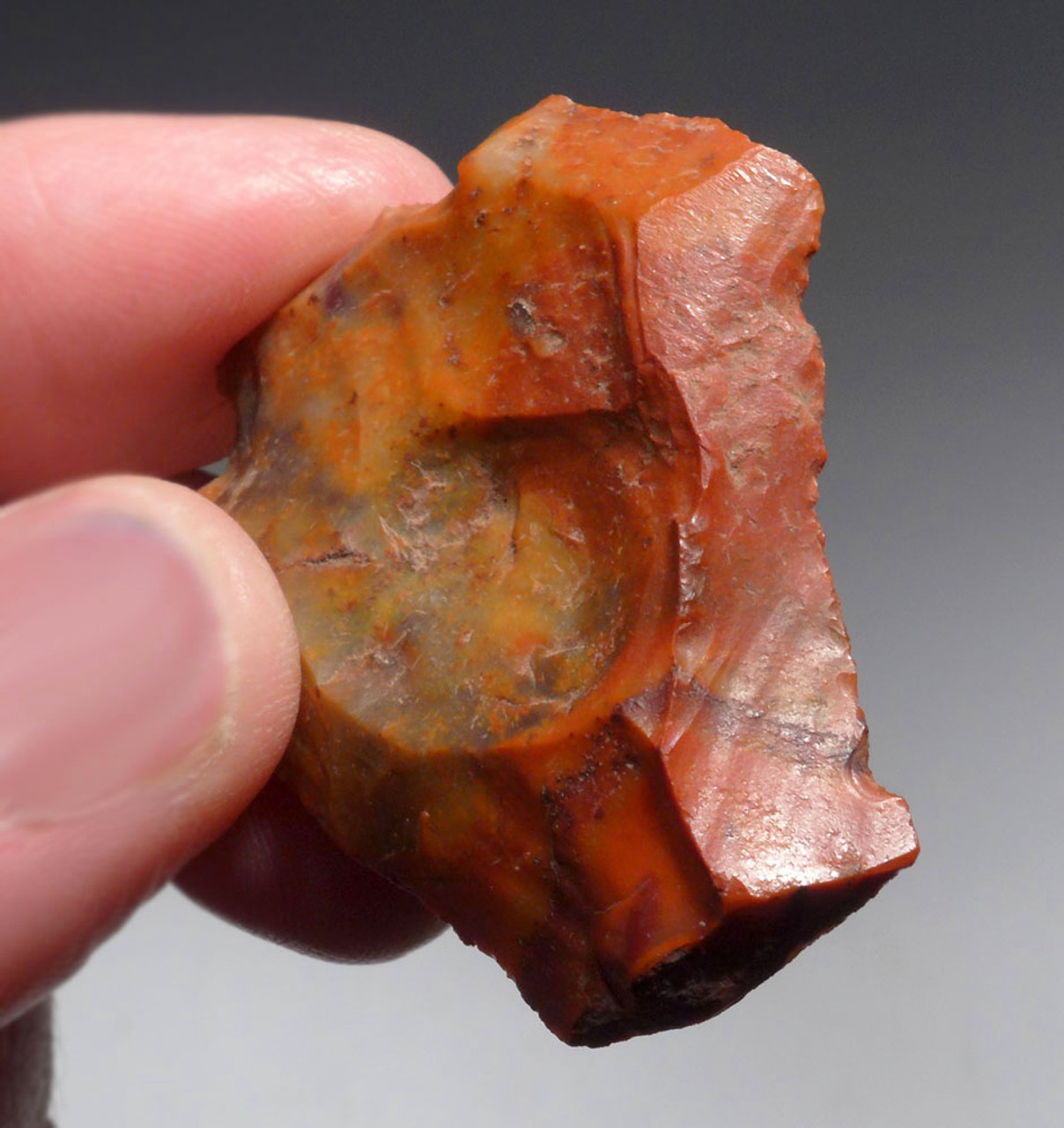 RARE NEANDERTHAL PRESTIGE TOOL CANDY-COLORED JASPER MOUSTERIAN DIVERGENT SCRAPER FROM FONTMAURE FRANCE  *M482