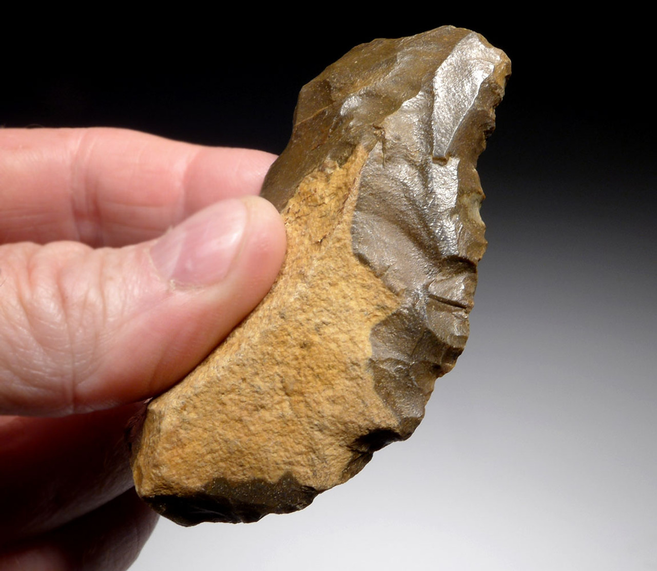 FINEST LARGE NEANDERTHAL MOUSTERIAN DOUBLE SIDE SCRAPER FLAKE TOOL FROM CAEN FRANCE  *M443