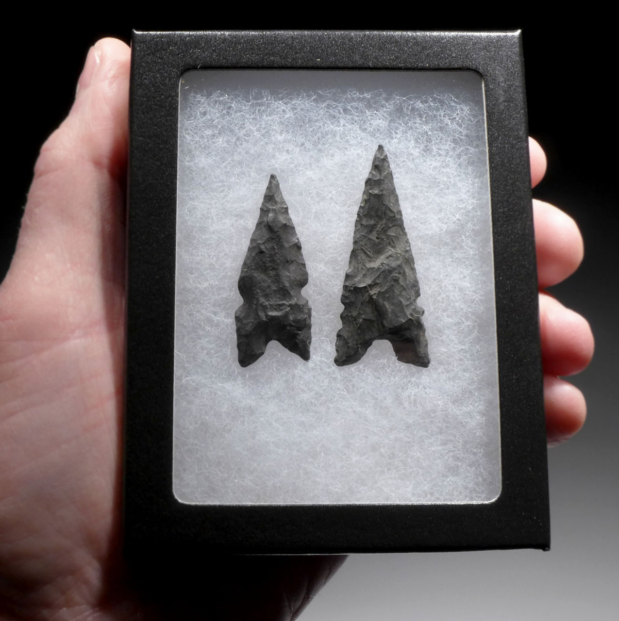 TWO FINEST LARGE INDURATED SHALE AFRICAN CAPSIAN NEOLITHIC PROJECTILE POINT ARROWHEADS  *CAP415