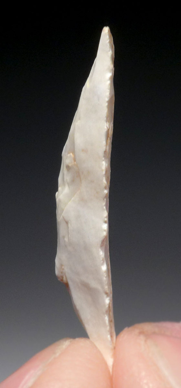 ULTRA RARE BARBED TRAPEZIUM CAPSIAN AFRICAN NEOLITHIC ARROWHEAD - ONLY ONE IN 23 YEARS  *CAP410