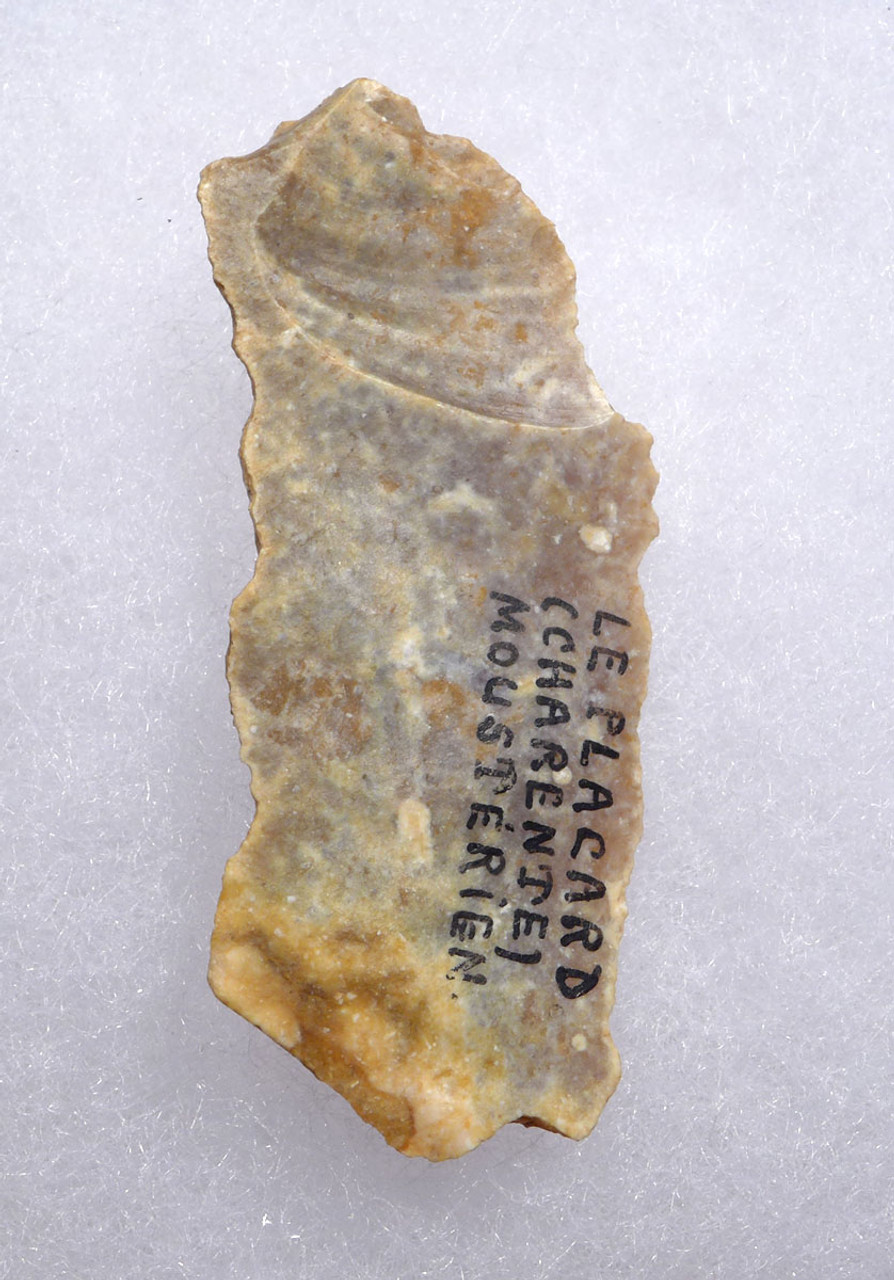 CRO-MAGNON UPPER PALEOLITHIC MAGDALENIAN FLINT BLADE TOOL FROM FAMOUS PLACARD CAVE ART SITE IN FRANCE  *UP050