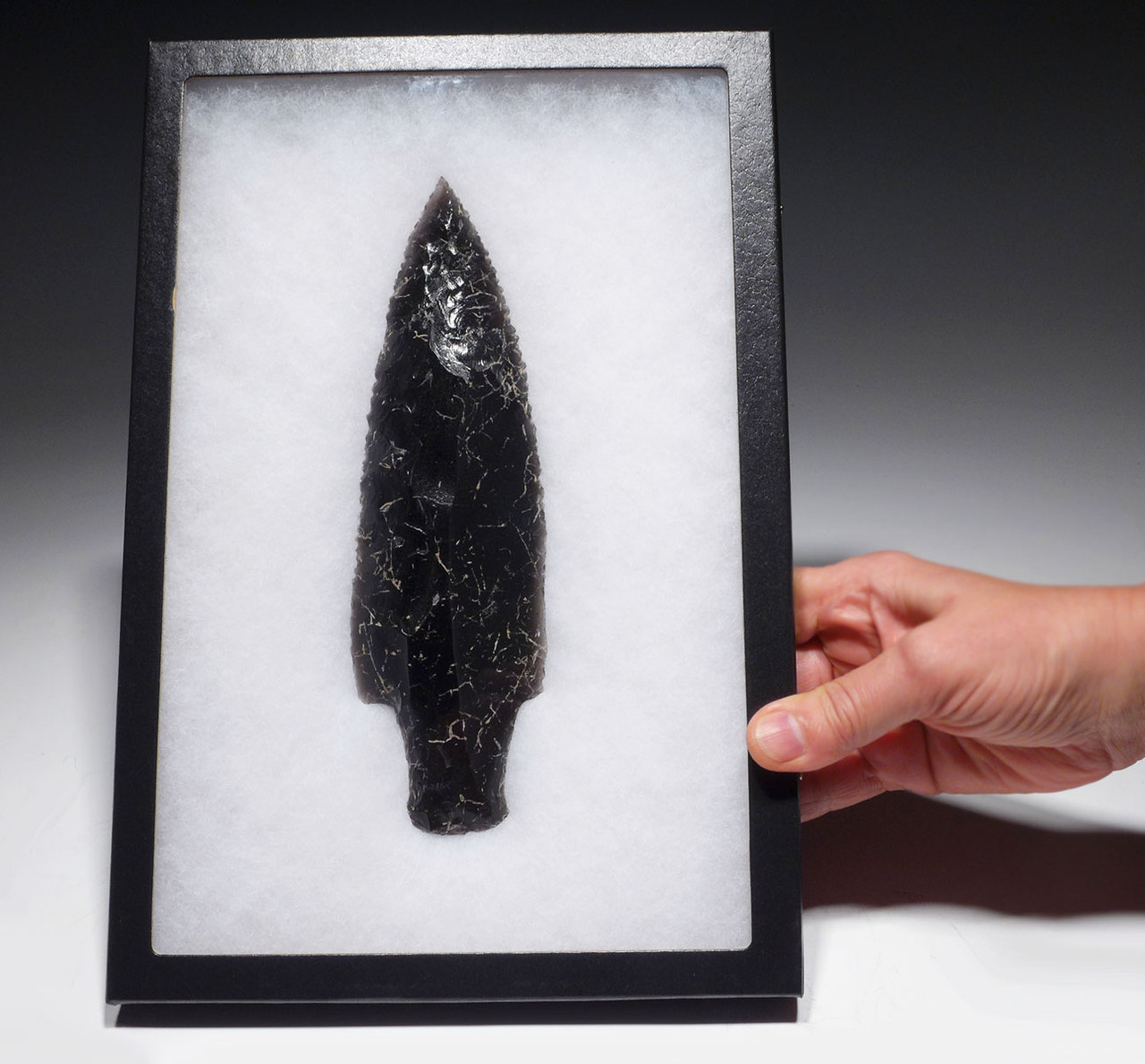 INCREDIBLE MAYAN PRE-COLUMBIAN SERRATED OBSIDIAN BIFACIAL MACRO BLADE DAGGER FOR CEREMONIAL HUMAN SACRIFICE   *PC519