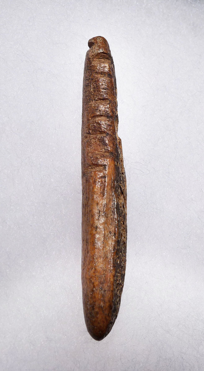 RARE RUSSIAN NEOLITHIC VOLOSOVO CULTURE BONE TOOL WITH CUT TALLY MARKS FROM RUSSIA    *N275