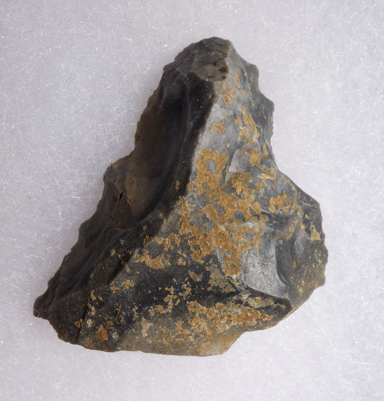 NEANDERTHAL FLINT MOUSTERIAN CONVERGENT SCRAPER FLAKE TOOL FROM DORDOGNE FRANCE  *M463