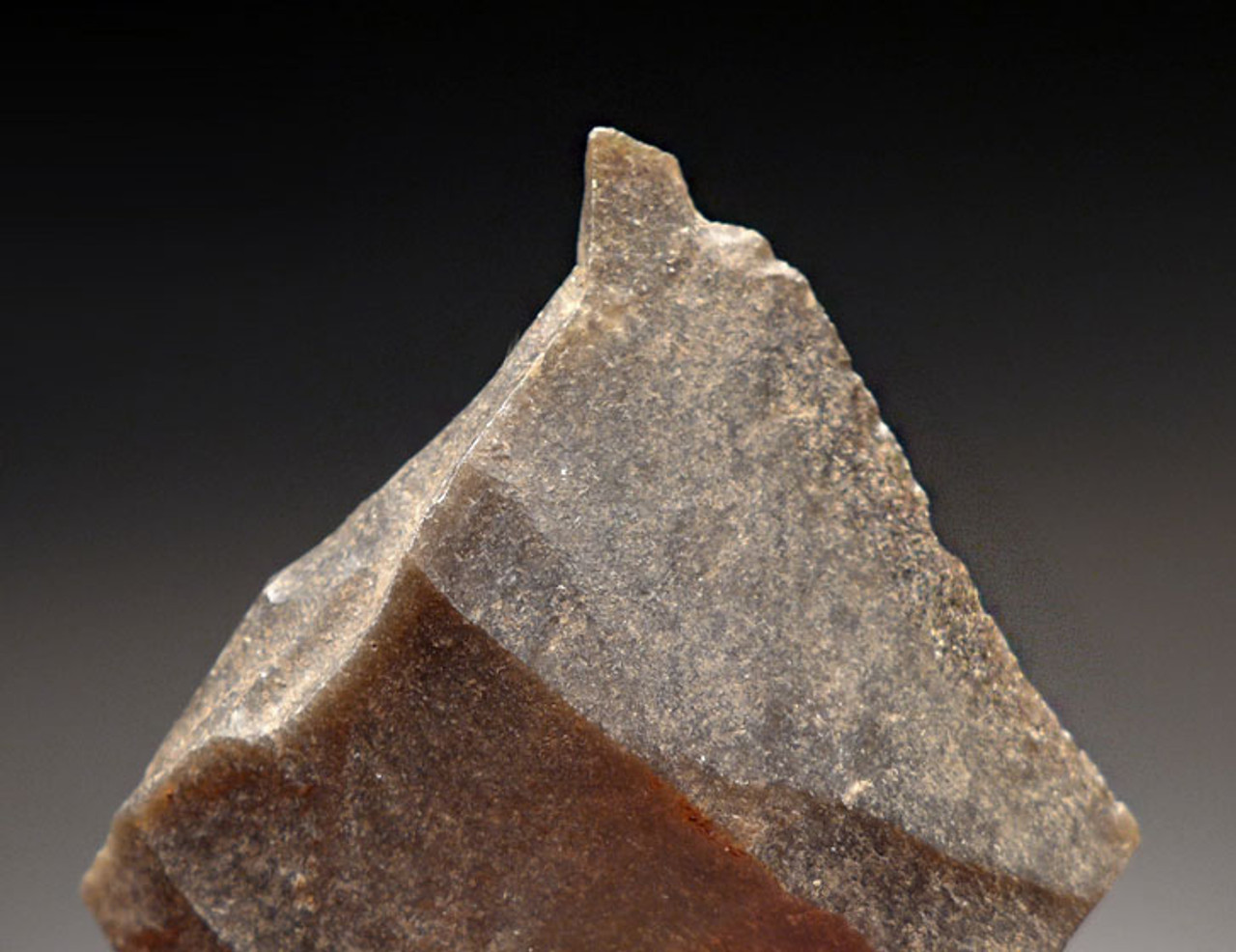 MOUSTERIAN NEANDERTHAL ENGRAVER FLAKE TOOL FROM DORDOGNE FRANCE  *M366