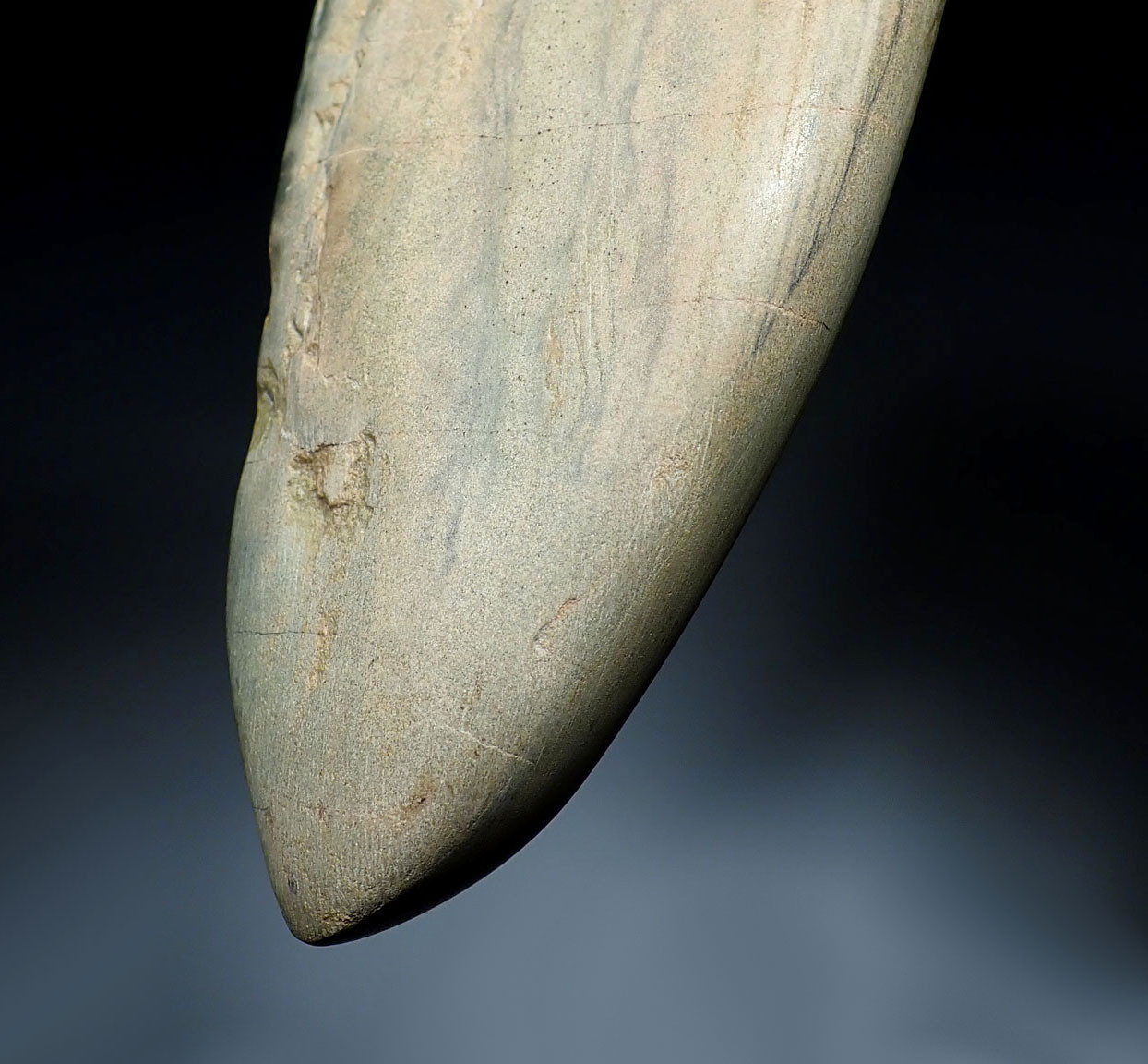 EXTREMELY RARE LARGE DIGGING STONE HOE ADZE AXE FOR FARMING FROM