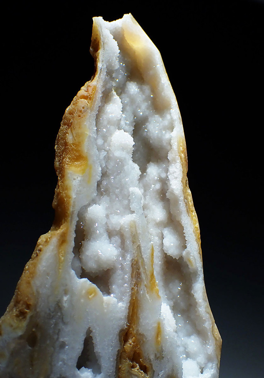 RARE GEM GRADE AGATIZED CORAL WITH PURE WHITE DRUSY CRYSTAL INTERNAL STRUCTURES *COR-021