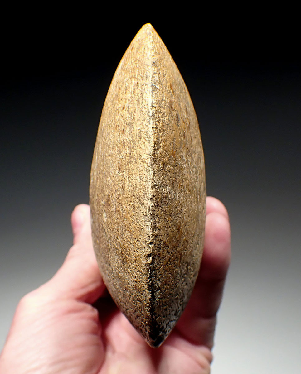 MASSIVE SKULL CRUSHER GROOVED POLISHED STONE WAR AXE FROM THE WEST