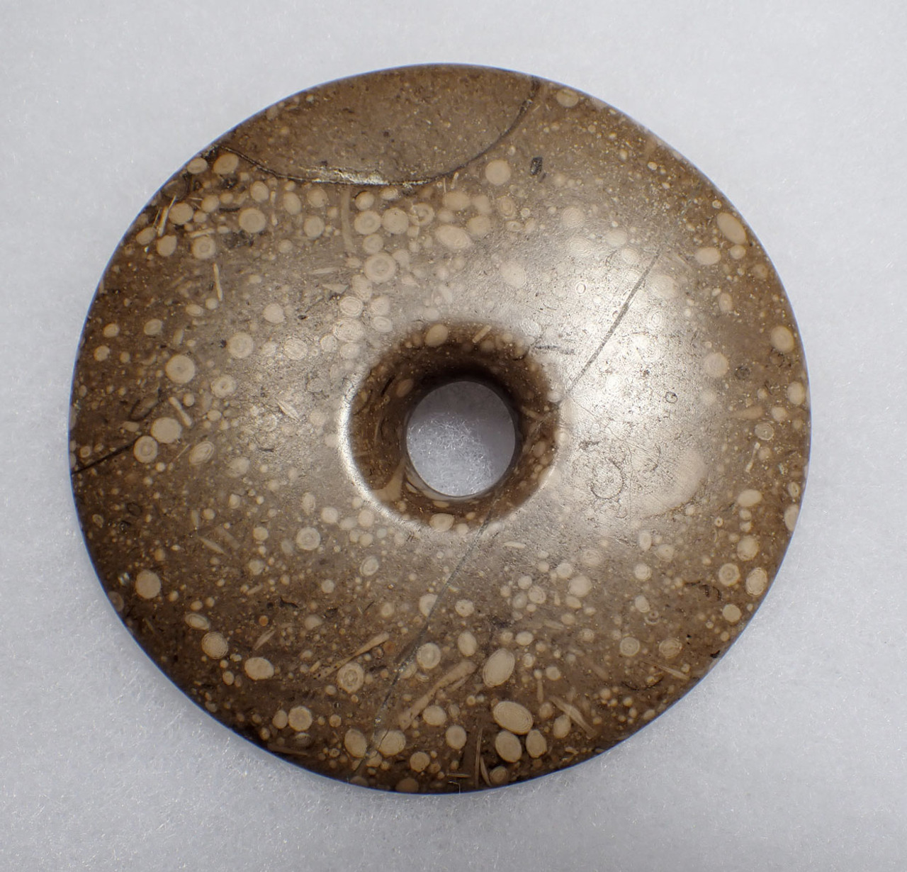 MUSEUM-CLASS ANCIENT EGYPTIAN POLISHED FOSSIL ONCOLITE STONE DISK MACE HEAD OF PRE-DYNASTIC EGYPT  *LUR365