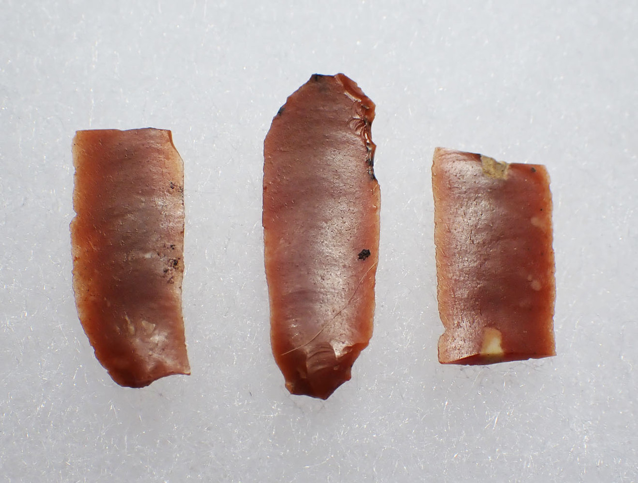 THREE SUPERB EUROPEAN MESOLITHIC MICROBLADES OF RADIOLARITE FROM HUNGARY  *N298