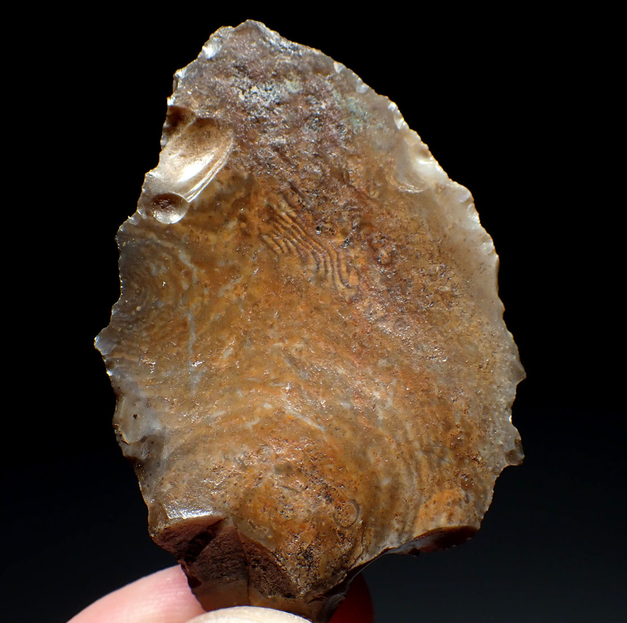 SUPREME OFFSET ATERIAN TANGED POINT OF RARE PETRIFIED WOOD - OLDEST KNOWN ARROWHEAD  *AT156