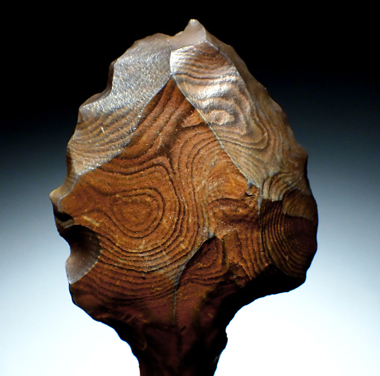 BEST OF THE COLLECTION - ATERIAN TANGED POINT OF RARE PETRIFIED WOOD - OLDEST KNOWN TANGED ARROWHEAD  *AT177