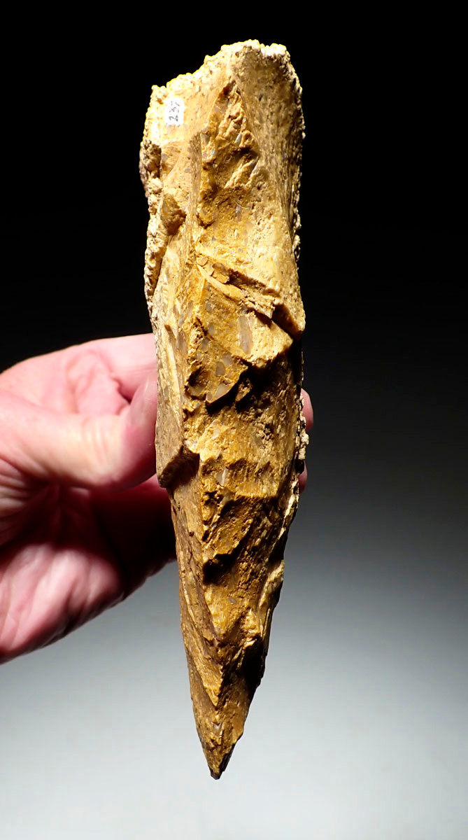 INVESTMENT-CLASS LARGE GOLD PUDDINGSTONE SUB TRIANGULAR ACHEULEAN