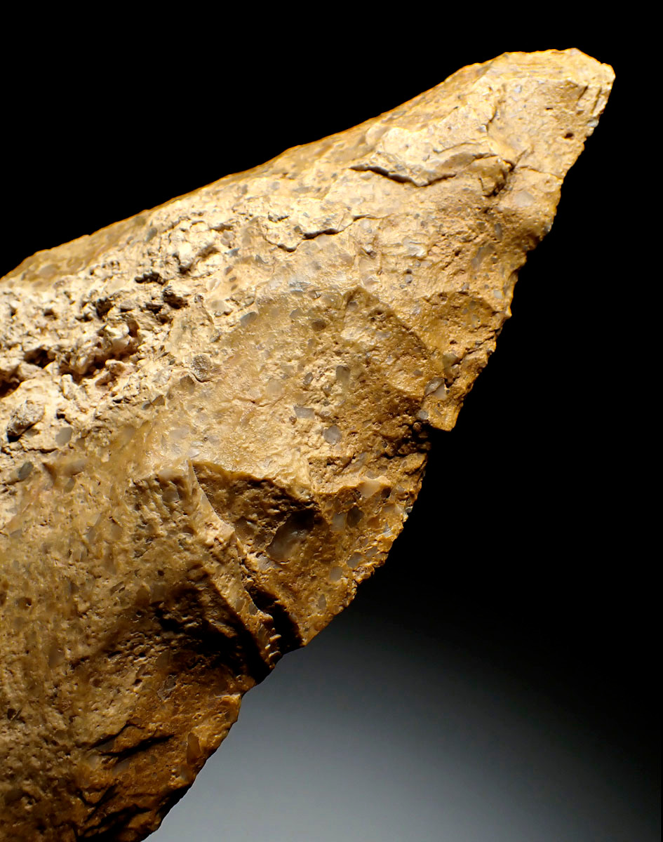 INVESTMENT-CLASS LARGE GOLD PUDDINGSTONE SUB TRIANGULAR ACHEULEAN