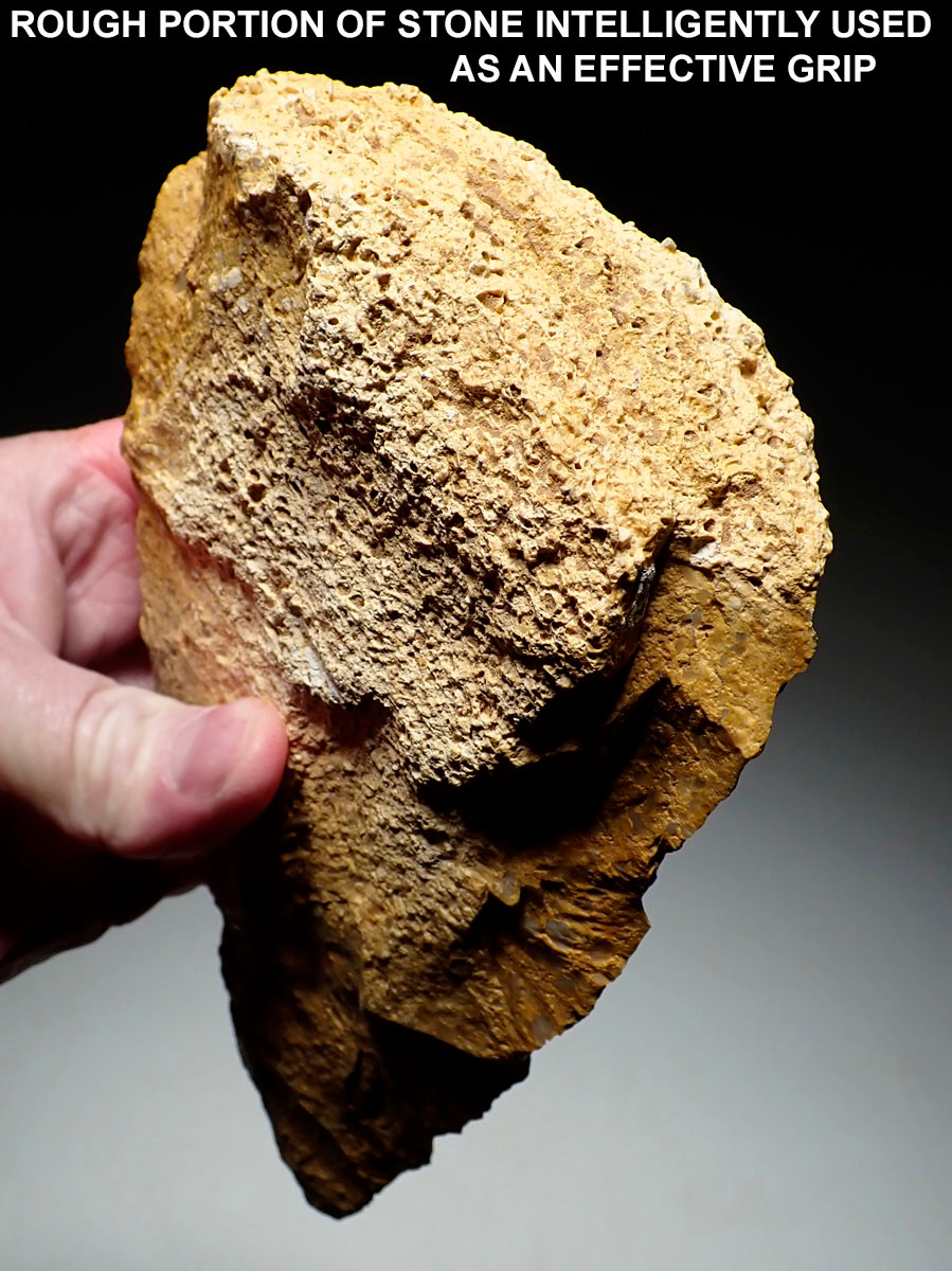 INVESTMENT-CLASS LARGE GOLD PUDDINGSTONE SUB TRIANGULAR ACHEULEAN
