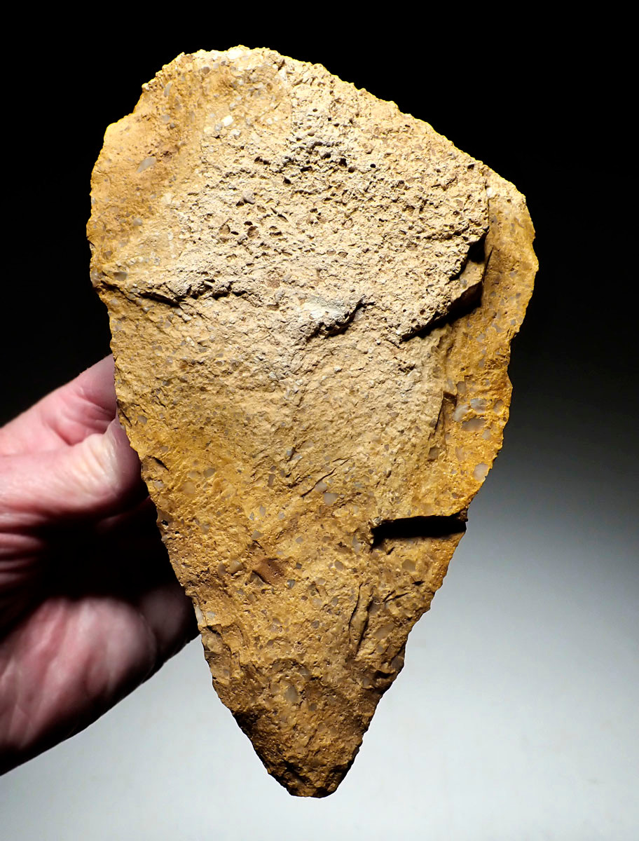 INVESTMENT-CLASS LARGE GOLD PUDDINGSTONE SUB TRIANGULAR ACHEULEAN