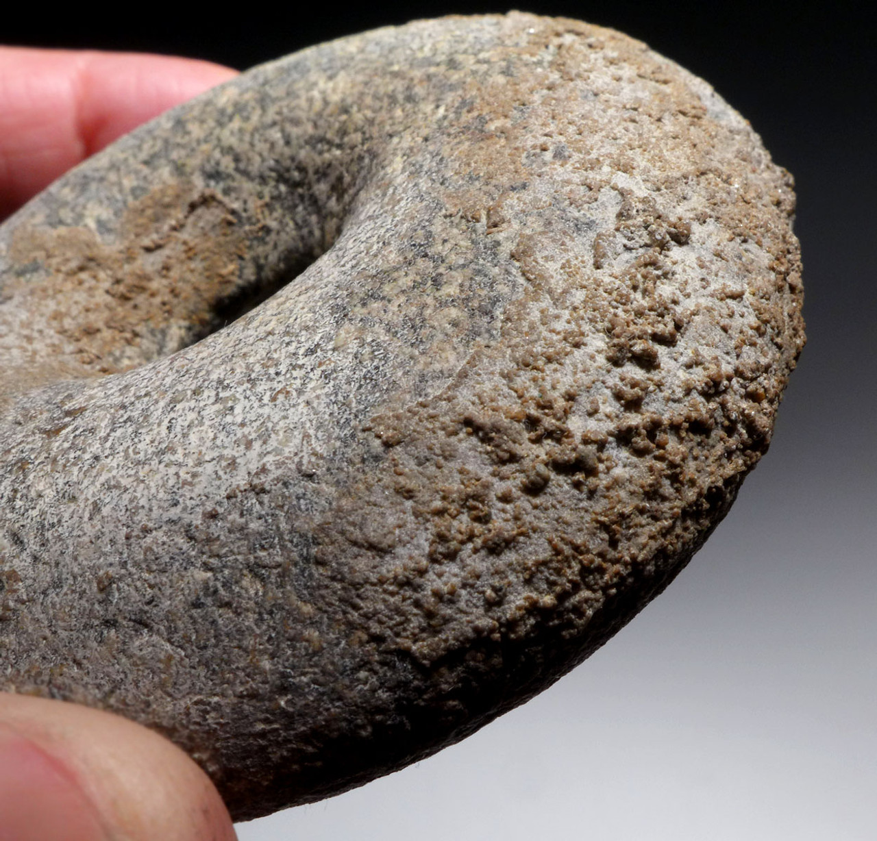 CRADLE OF CIVILIZATION CHALCOLITHIC STONE DISK WAR MACE FROM THE ANCIENT NEAR EAST FERTILE CRESCENT  *LUR328 CRADLE OF CIVILIZATION CHALCOLITHIC STONE DISK WAR MACE FROM THE ANCIENT NEAR EAST FERTILE CRESCENT  *LUR328