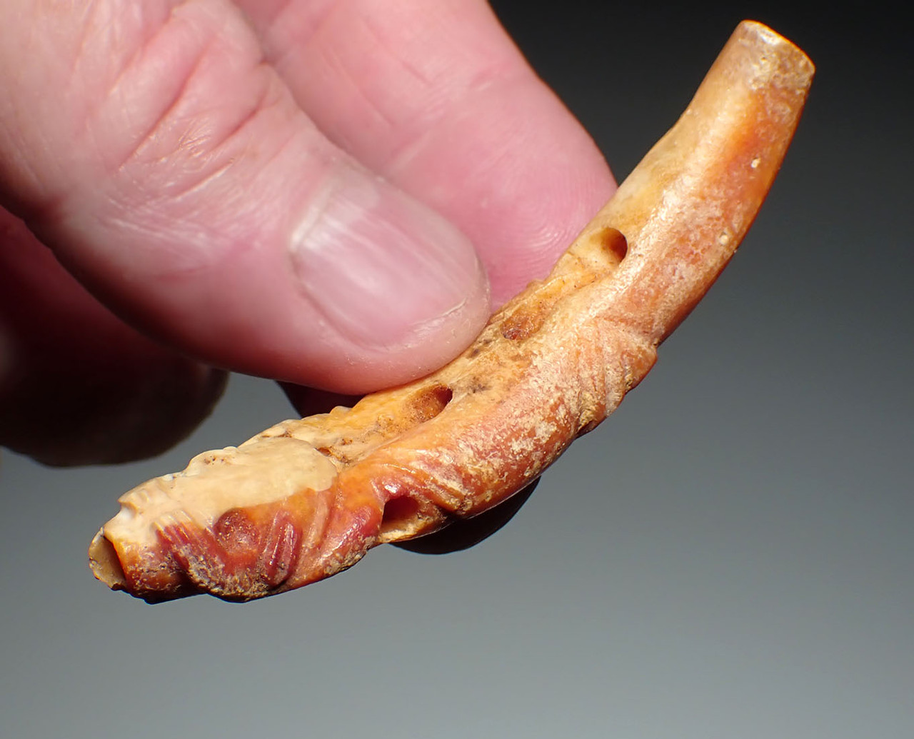 FIRST PET DOG OF THE AMERICAS PRE-COLUMBIAN CARVED DOG PENDANT OF SPONDYLUS SHELL  *PC6033