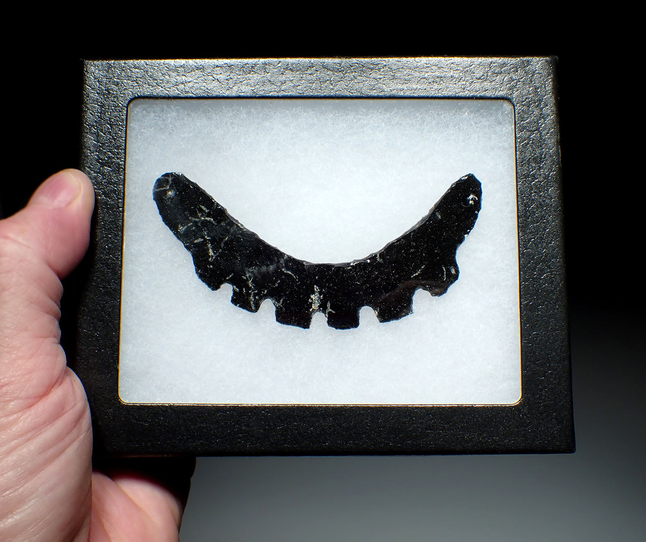 MAYAN PRE-COLUMBIAN SERRATED OBSIDIAN NECKLACE GORGET PENDANT  *PC601