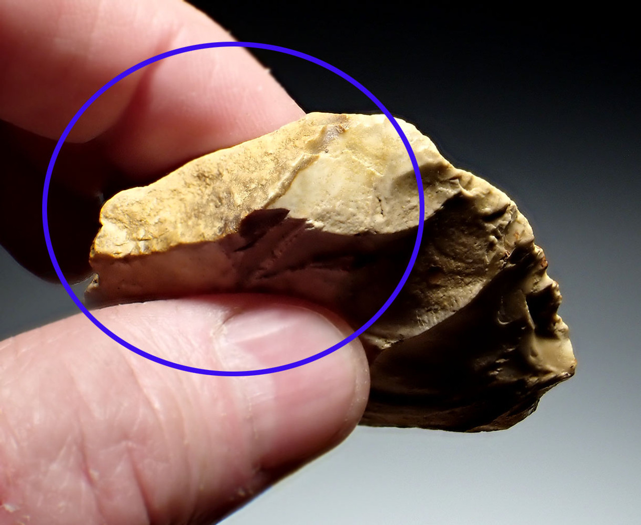 FINEST NEANDERTHAL MOUSTERIAN FLINT BIFACE HAND AXE FROM NORMANDY FRANCE  *M522