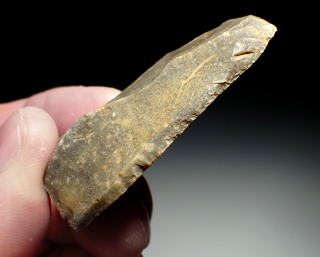 SUPERB NEANDERTHAL MOUSTERIAN NATURALLY BACKED KNIFE FLAKE TOOL FROM DORDOGNE FRANCE  *M527