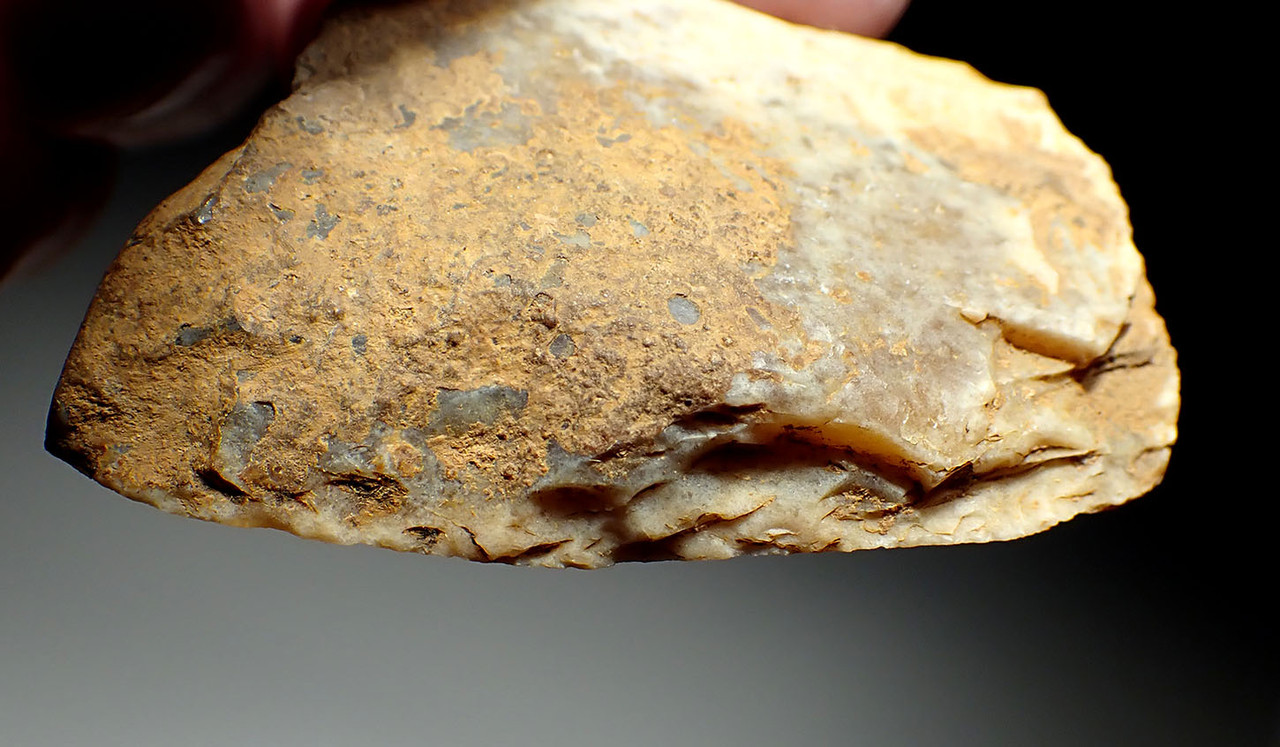 FINEST LARGE FLINT CONVEX SIDE SCRAPER NEANDERTHAL MOUSTERIAN FLAKE TOOL FROM DORDOGNE FRANCE  *M525 FINEST LARGE FLINT CONVEX SIDE SCRAPER NEANDERTHAL MOUSTERIAN FLAKE TOOL FROM DORDOGNE FRANCE  *M525