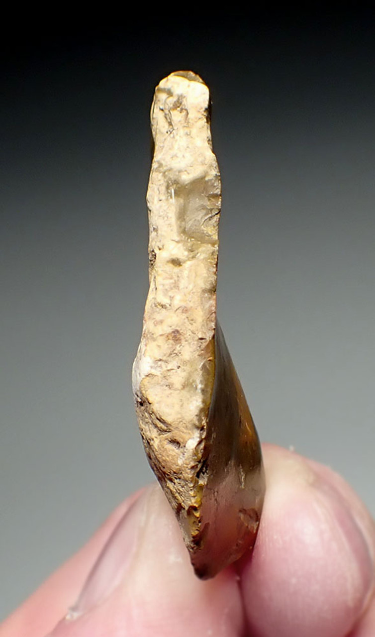 COLORFUL JASPER NEANDERTHAL MOUSTERIAN UTILIZED FLAKE TOOL FROM FAMOUS SITE IN FONTMAURE FRANCE   *M524 COLORFUL JASPER NEANDERTHAL MOUSTERIAN UTILIZED FLAKE TOOL FROM FAMOUS SITE IN FONTMAURE FRANCE   *M524