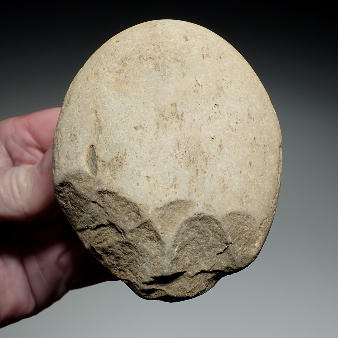 SUPERB EUROPEAN HOMO ERECTUS MODE 1 OLDOWAN PEBBLE AXE CHOPPER FROM PALEOLITHIC IBERIA - FIRST HUMANS IN EUROPE  *PB217