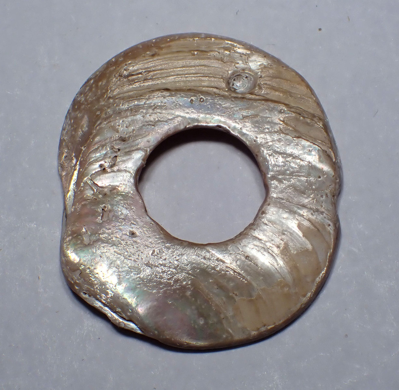 RARE ANCIENT TOLTEC PRE-COLUMBIAN IRIDESCENT SHELL BEAD APPLIQUE FROM MESOAMERICA  *PC635