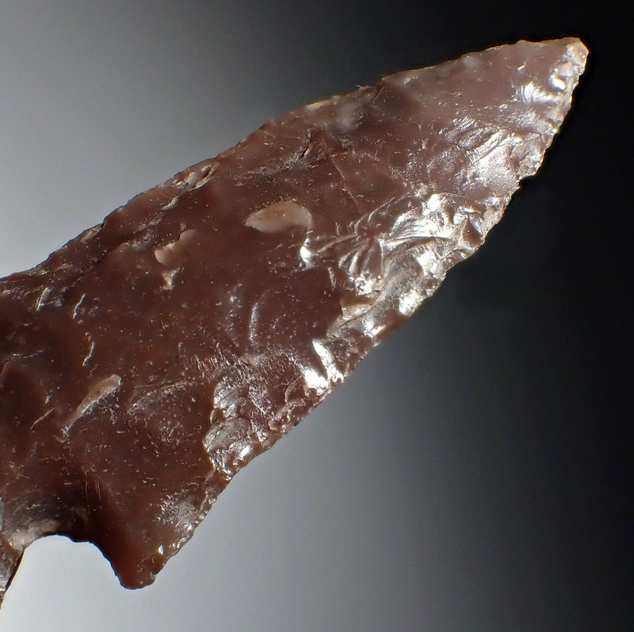 SUPREME ELONGATED PRE-COLUMBIAN AZTEC SIDE NOTCH ARROWHEAD IN CHOCOLATE FLINT  *PC641