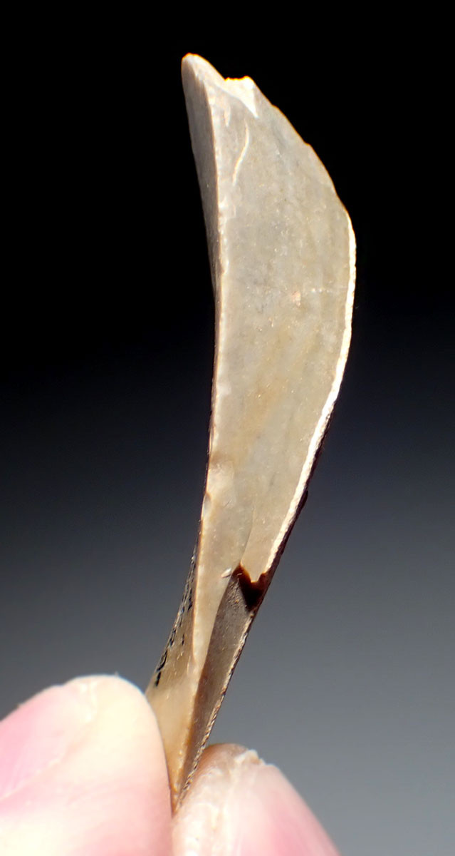 RARE CRO-MAGNON UPPER PALEOLITHIC MAGDALENIAN FLINT BLADE KNIFE TOOL FROM FAMOUS PLACARD CAVE ART SITE IN FRANCE  *UP078