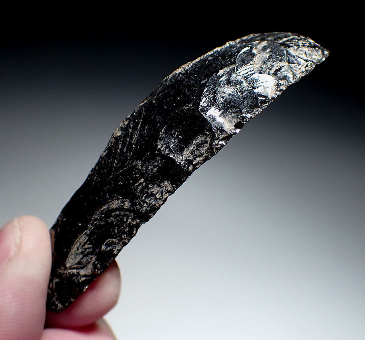 SUPERB OBSIDIAN BLADE END SCRAPER OF THE PRE-COLUMBIAN TEOTIHUACAN EMPIRE  *PC630