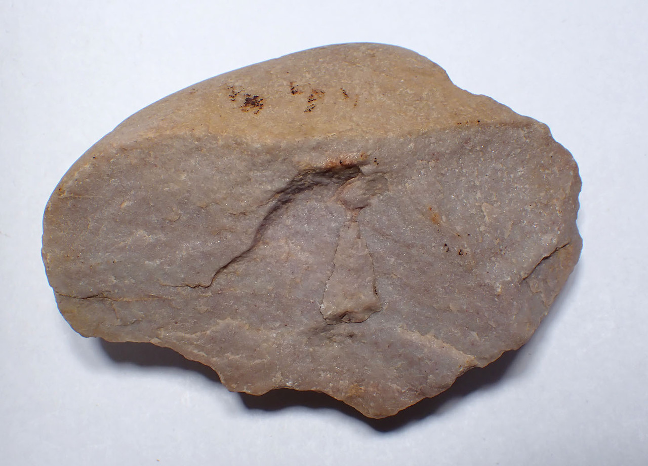 EXCEPTIONAL RARE TAUTAVEL MAN QUARTZITE PEBBLE CHOPPER TOOL - THE EARLIEST HUMANS IN FRANCE  *PB226