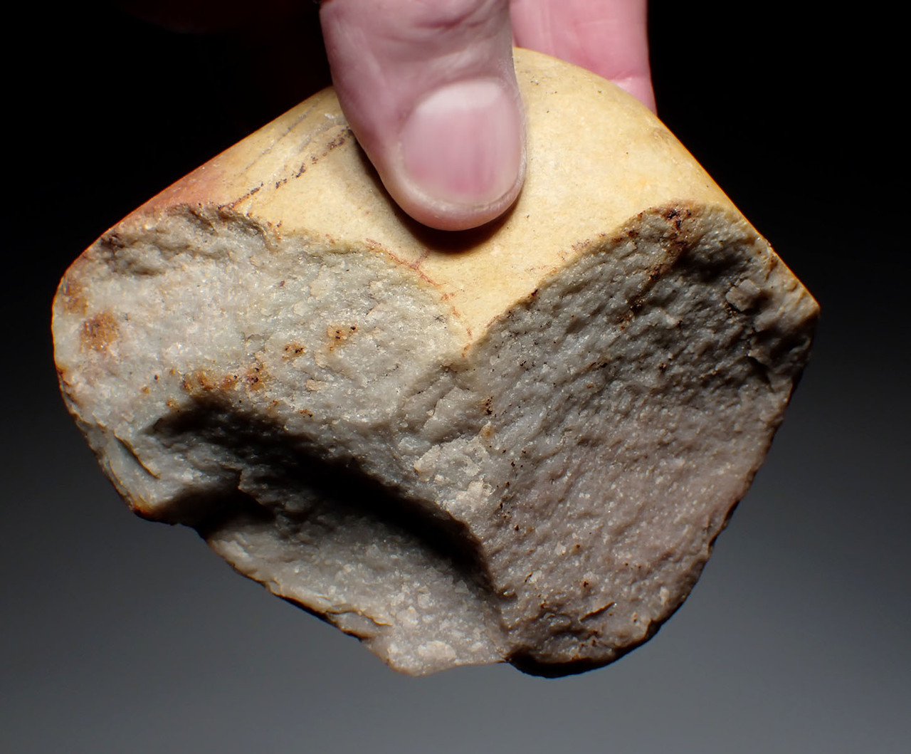 FINEST RARE TAUTAVEL MAN QUARTZITE PEBBLE CHOPPER TOOL - THE EARLIEST HUMANS IN FRANCE  *PB224